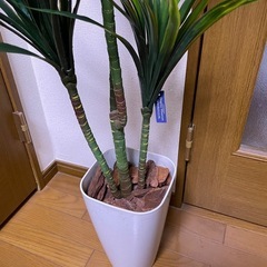 フェイクグリーン⑯の画像