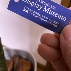 フェイクグリーン⑯の画像