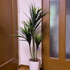 フェイクグリーン⑯の画像