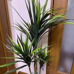 フェイクグリーン⑯の画像