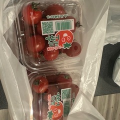ミニトマト6パック&キウイ6こ