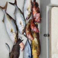 近場　船釣り　釣友募集 − 長崎県