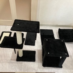 キャットウォーク　新品の画像