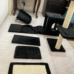 キャットウォーク　新品の画像