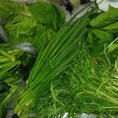 家でとれた野菜