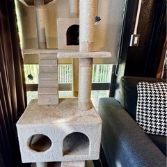 大型
キャットタワー