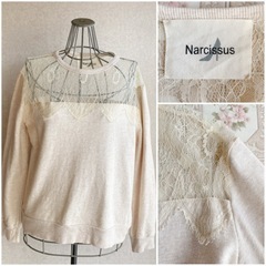 Narcissusのレーストレーナー