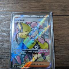 人気のナンジャモSR