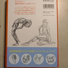 モルフォ人体デッサンの画像