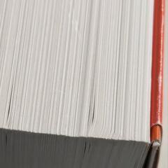 モルフォ人体デッサンの画像