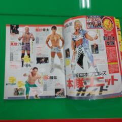 るるぶ新日本プロレス公式ガイドブック (JTBのムック)

の画像