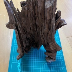 【お値段交渉可能】流木(シェルター使用可)