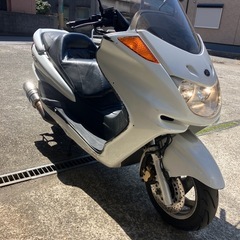 エンジン始動動画あり在庫多数投稿してます　堺市堺区マジェスティ250の画像