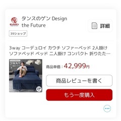 ソファーベットの画像
