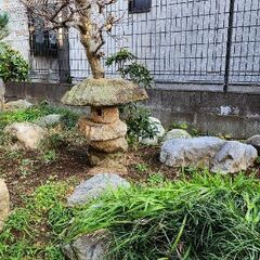 ガーデニング関係の画像