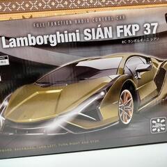 複数購入2割引　新品　ランボルギーニ シアン FKP37　グリーン