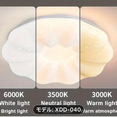 シーリングライトの画像