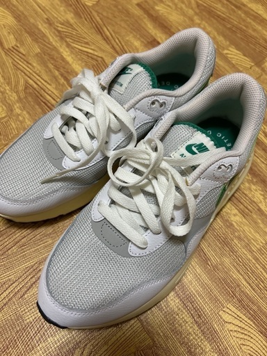 ナイキ スニーカー 24.5