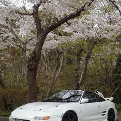 車、ツーリング、イベント好きな方求む！