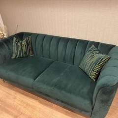 グリーンソファの画像