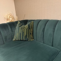 グリーンソファの画像