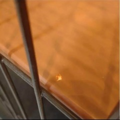 アイラブペッツ ウッドワンサークルキャット ミニ
の画像