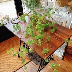 フェイクグリーン   作り物植物
