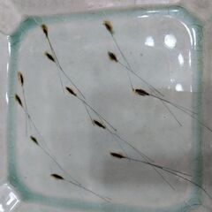 手焼きの四角の手捻りの味のあるお皿１枚の画像