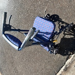 お年寄りが押して歩くやつの画像
