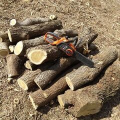 （取引予定者あり）★★薪（焚き木）＆きのこ栽培用 広葉樹原木／軽トラ１台分★★の画像