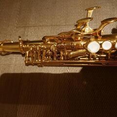 DY Musical design in USA soprano...