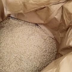 玄米5kg