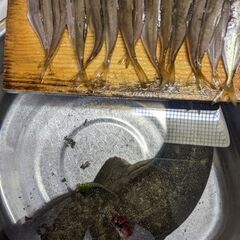 社会人サークルとイベント・釣り部