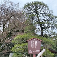 日本全国に旅仲間を作る為のグルチャ！
