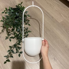 【超美品】天吊りプランター　フェイク　植物　の画像