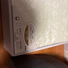 綿毛布　ウグイス色の画像