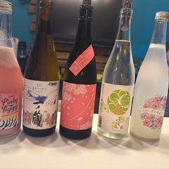 お酒一緒に飲みに行く人募集
