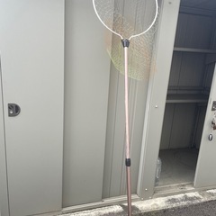 タモ網