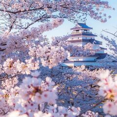悩みがある時に相談しあったり助け合ったり 心の支えとまではいきま...