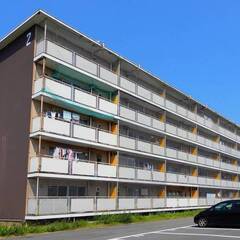 ビレッジハウス稲枝1号棟 (504号室)