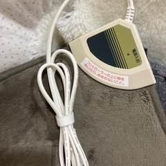 ニトリ　ホットマット　猫に使用の画像