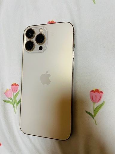 その他 Iphone 13 Pro Max 128 Gb Sim free