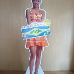 安室奈美恵パネル