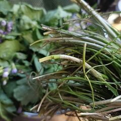 やみつき！野蒜(のびる)のナムル - 友達