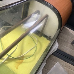 ショーケース、ネタケースの画像