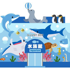 水族館が大好き☆彡