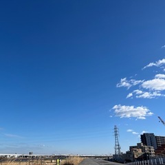 卓球orバドミントンできる人募集