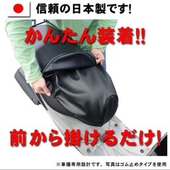 LiveDIO ライブDIO-ZX / チェスタ AF34 35 シートカバー かんたん装着 HONDAの画像