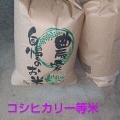 令和6年新米コシヒカリ茨城産１等米