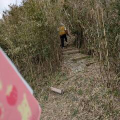 №F437【石川県輪島市門前町】小粒に点在する山林15筆あげます！一部場所不明の土地があります。 - 輪島市